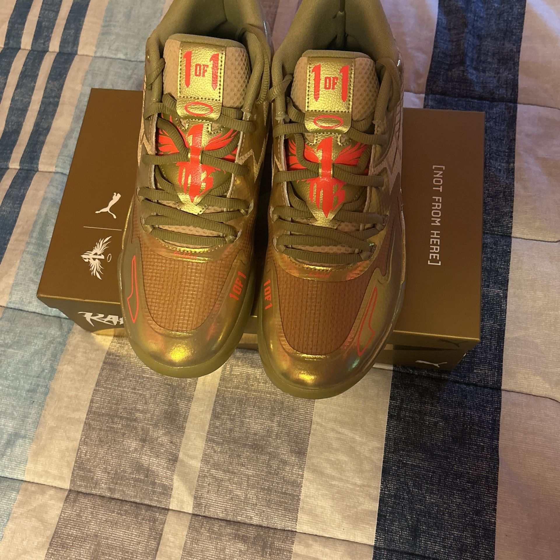 Golden Lamelos, Size 13
