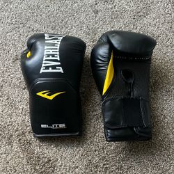 Everlast Pro Style Elite Workout Training Boxing Gloves