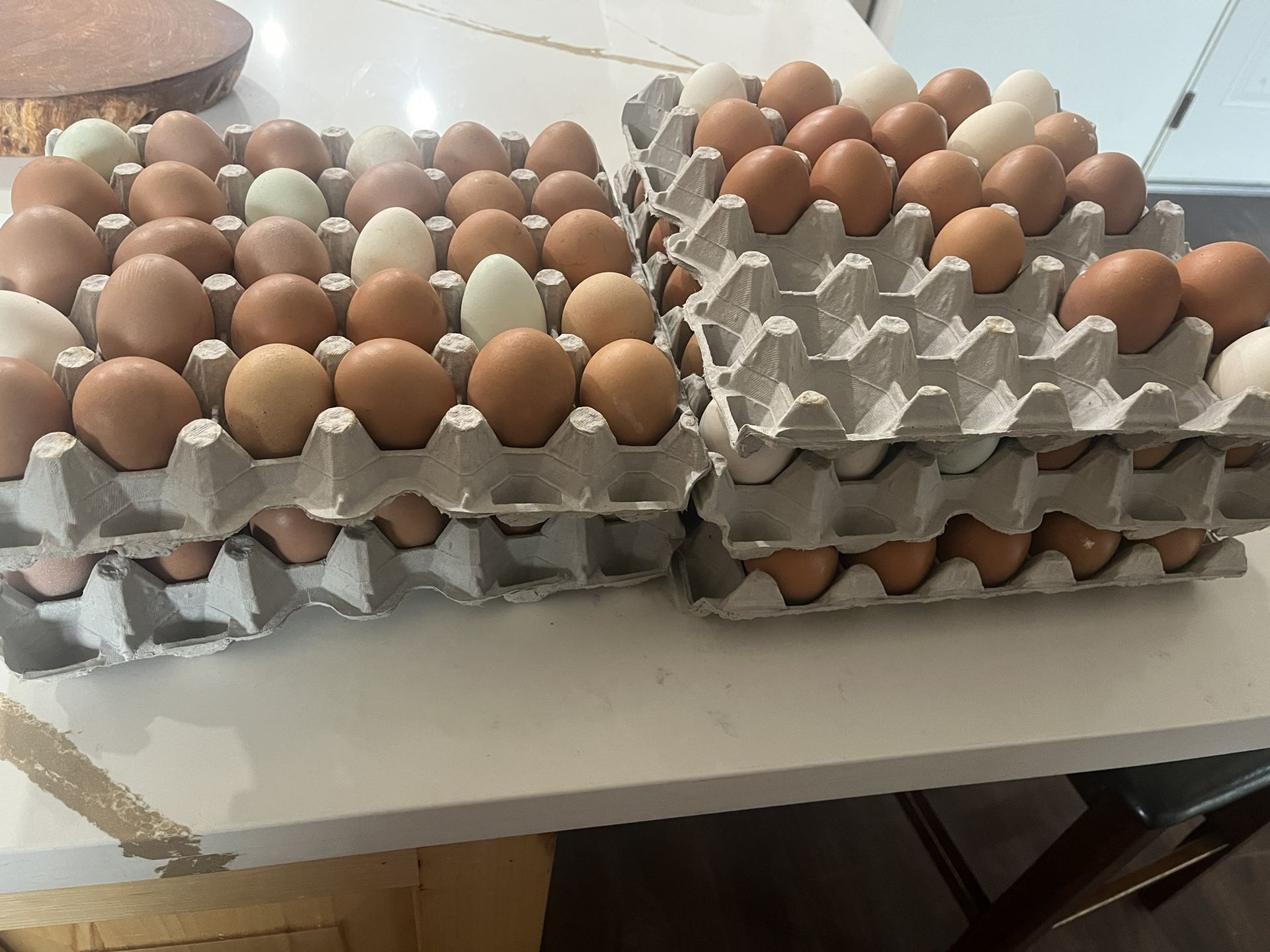 Organic Eggs