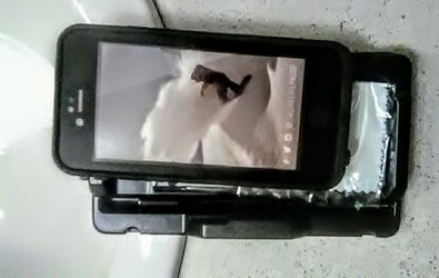 FRĒ LifeProof Case for IPhone 6 and 6s