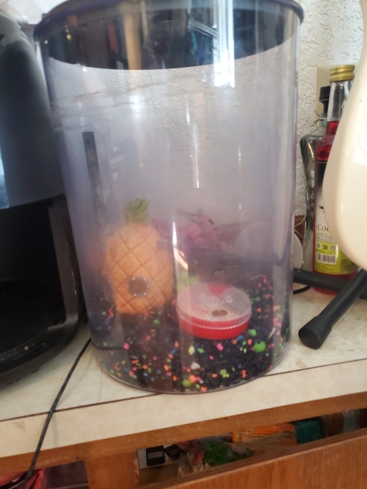 Mini Fish Tank Bundle