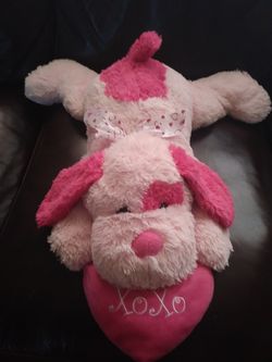 Teddy