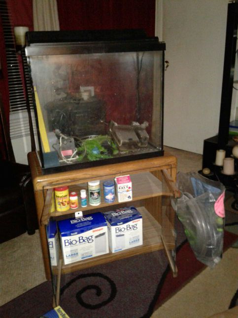 Complete fish tank set up