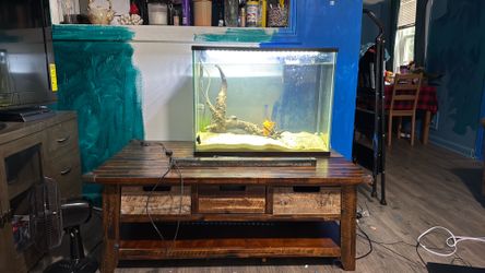 fish tank & stand