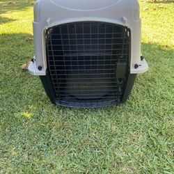 Dog Kennel 