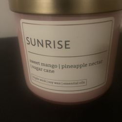 Distant Lands Three Wick Candle