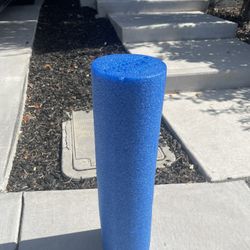 Exercise Foam Roller