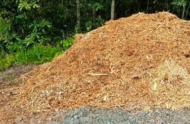 Free Wood Chips delivered to your driveway