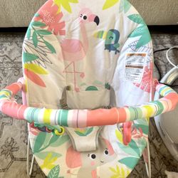 Bright Starts Baby Bouncer Soothing Vibrations