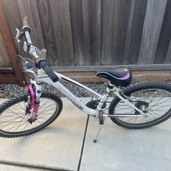 Schwinn Used 20inch Bike