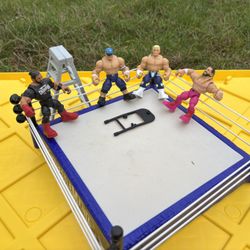 WWE Playset