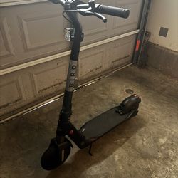 Bird Scooter