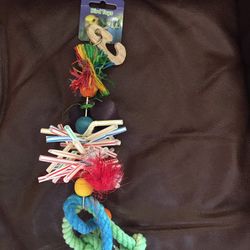 Bird Toys 