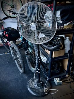 Fan