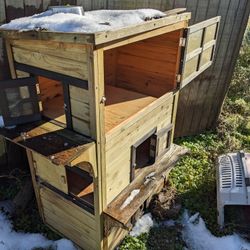 Outdoor Cat Nest
