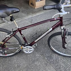Diamond Back Bike - 17in Frame