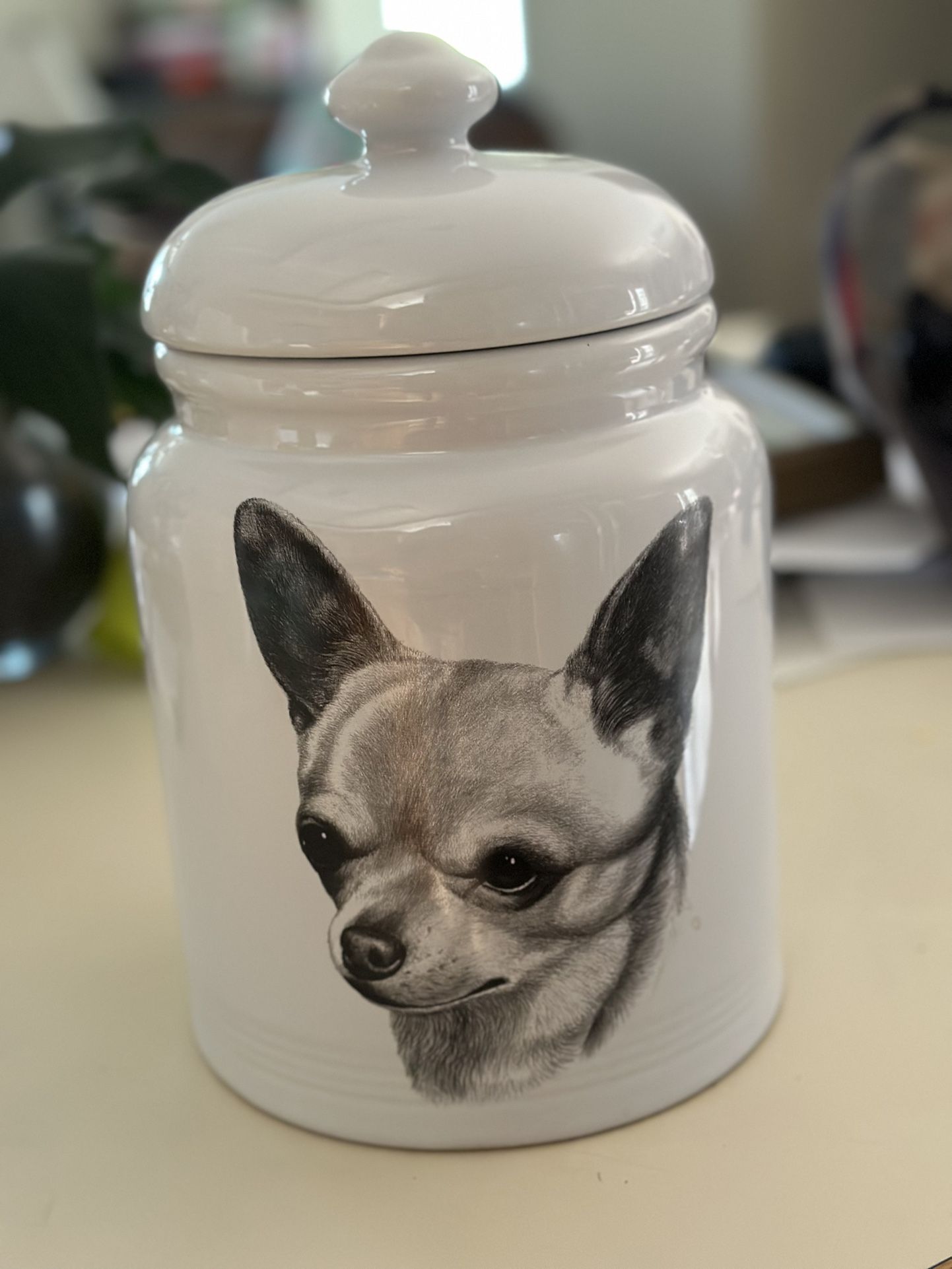Chihuahua Cookie Jar