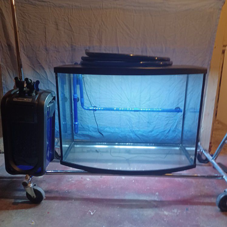 36 Gallon Bowfront Tank And Canister Filter 