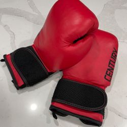 Century Boxing Gloves 14 oz