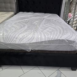 Queen Sizes Bed With Mattress 