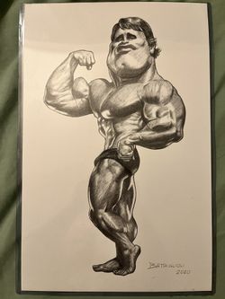 Arnold Schwarzenegger Limited Art Drawing 