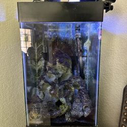 Fish Tank And All Accessories 