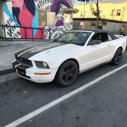 2006 FORD MUSTANG 