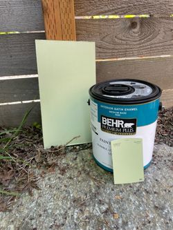 Behr paint + primer