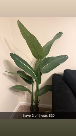 Faux plants