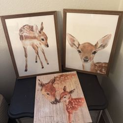 Deer Pictures 