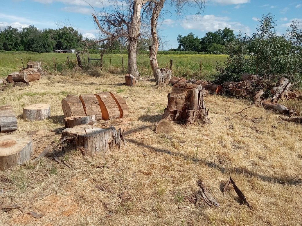 Wood for Sale Rounds