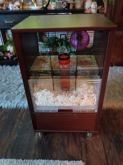 Hamster cage