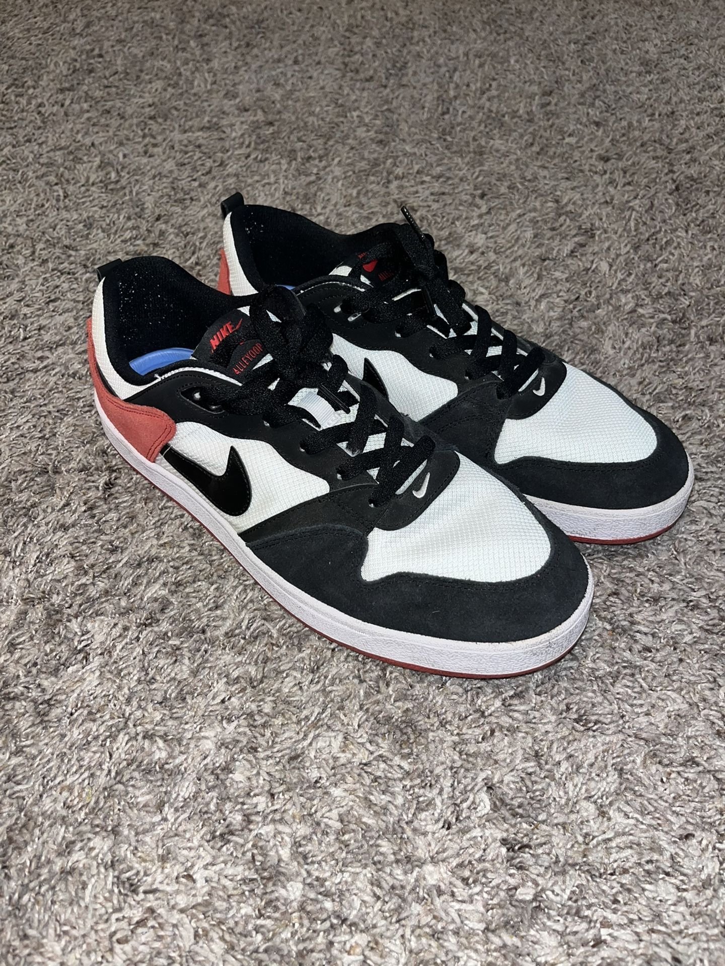 Nike SB Shoes