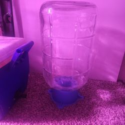 Glass Carboy