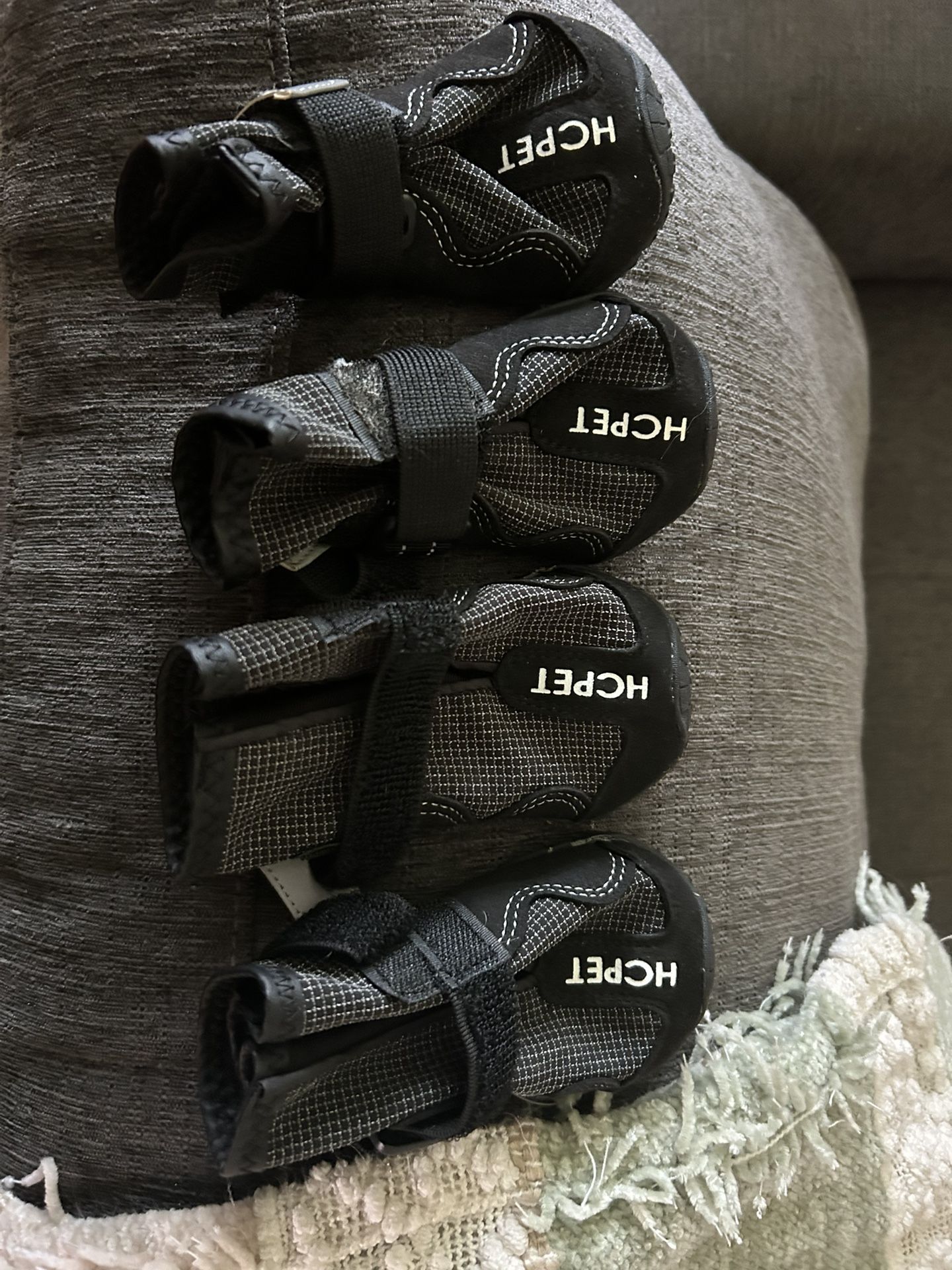 Dog Shoes :)