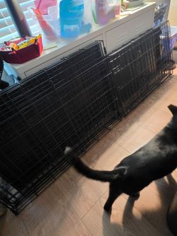 small dog crate / cat crate