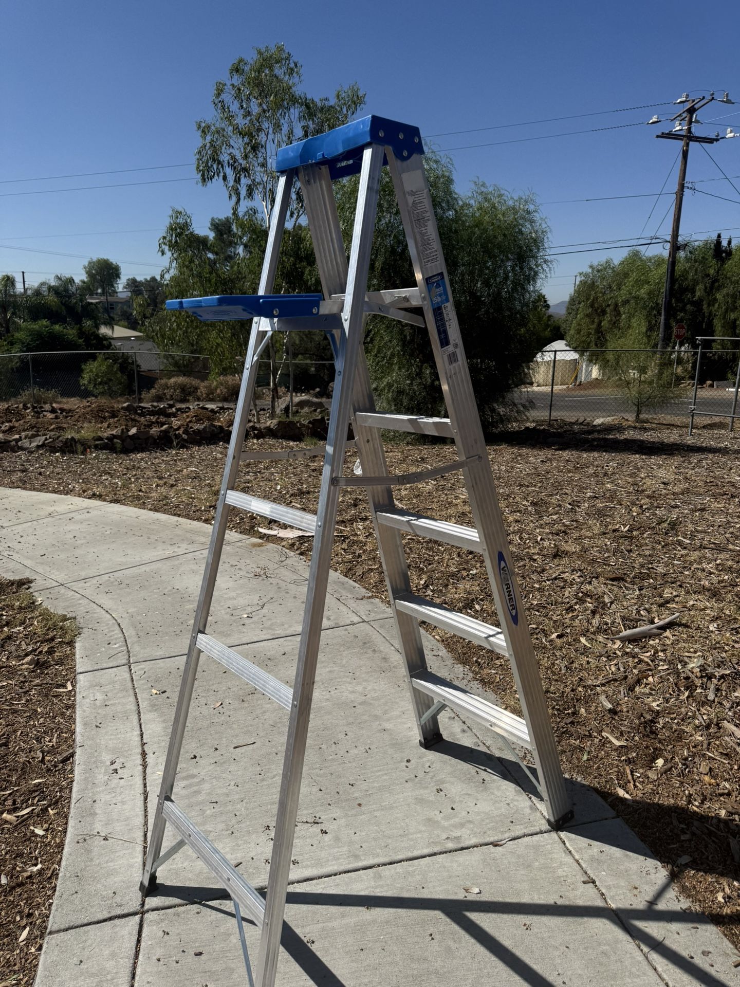Ladder 6 Foot