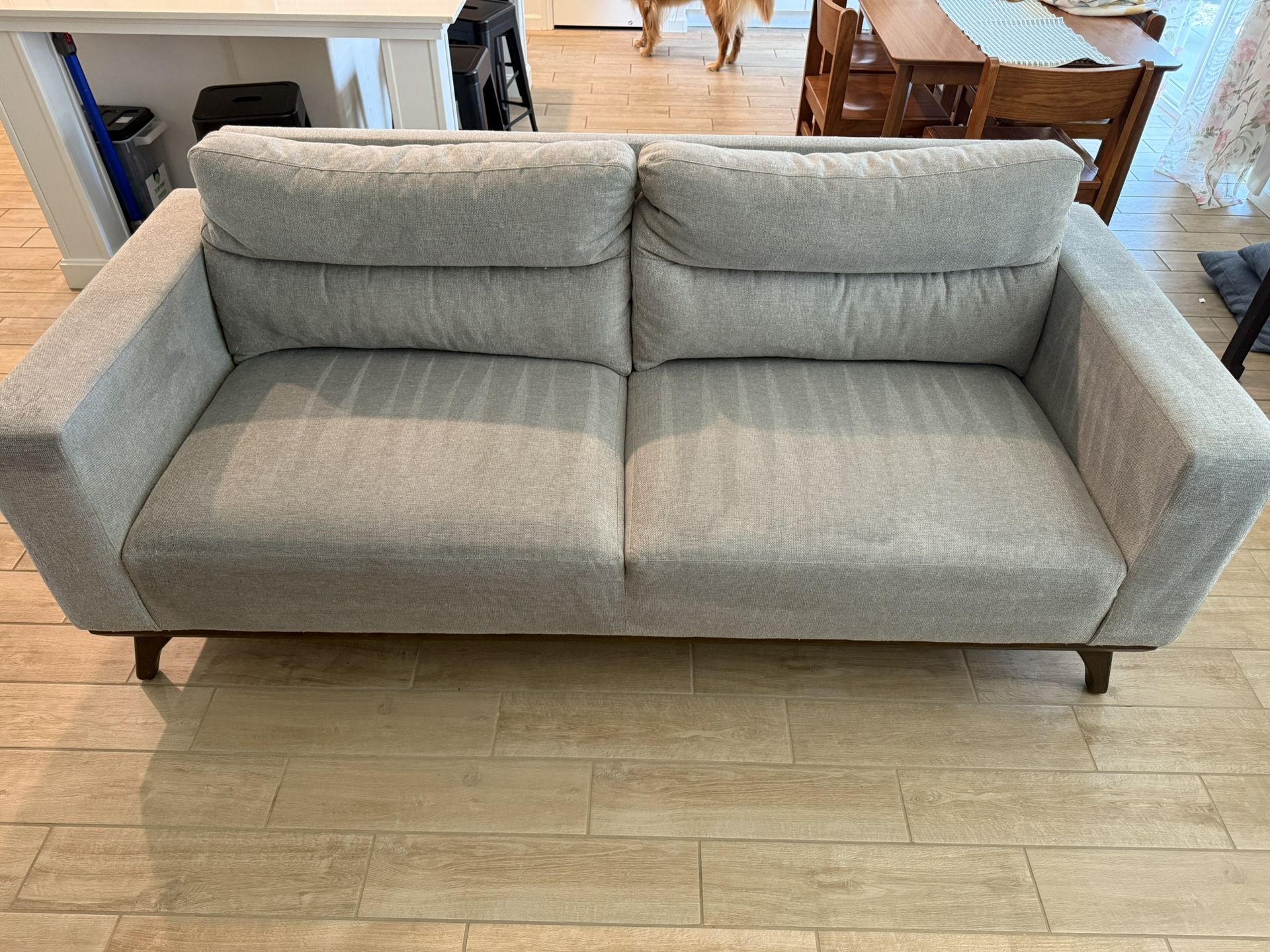 Mid-Century Modern Grey Couches – Set of 2