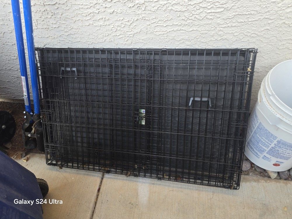 Big Dog Kennel