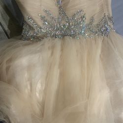 Party/ Prom Dress XL