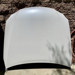 2009 LEXUS IS250/350 Hood & Hindges 