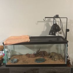 Selling 20 Gallon Bearded Dragon Tank 