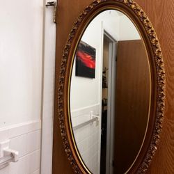 Door Mirror 