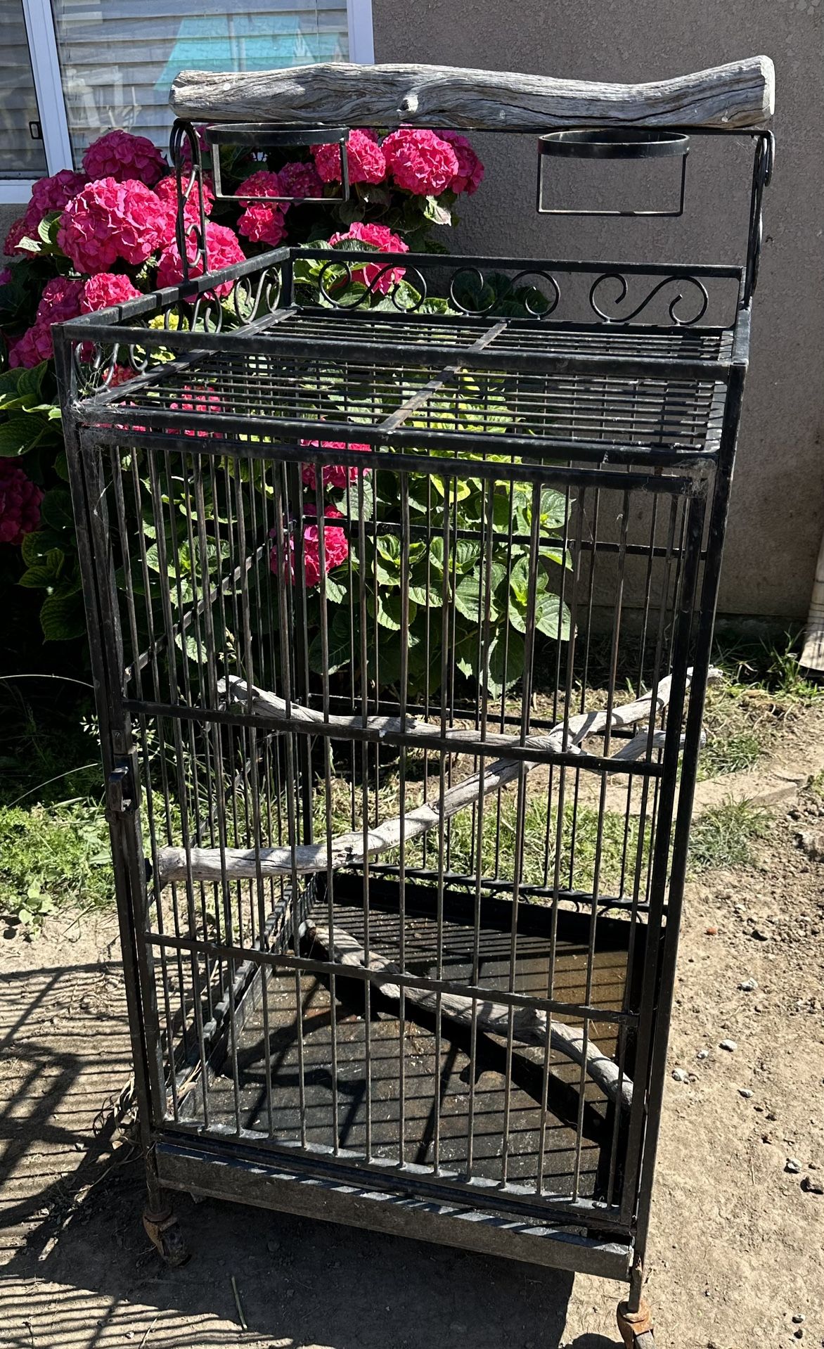 Bird Cage