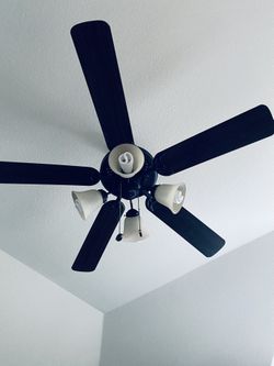 Indoor Ceiling Fan