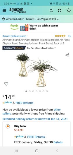 Air Plant Stand Holder