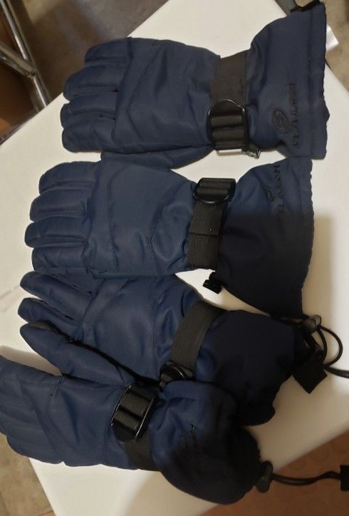 2 Ski Gloves