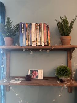 Shelves (only Shelves )