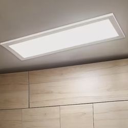 1 ft. x 4 ft 4000K Bright White 4000 Lumens Dimmable  Flat Panel Light 