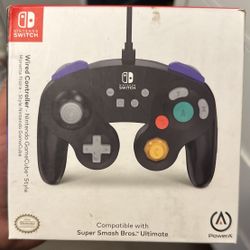 Nintendo Switch Controller